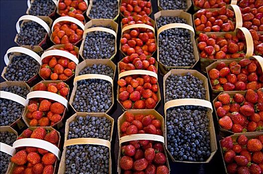 蓝莓,草莓,市场,蒙特利尔,魁北克,加拿大