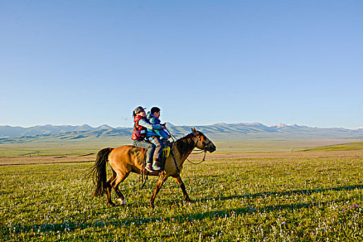 草原上骑马的儿童