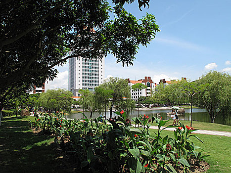 夏门大学