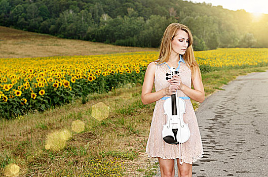 一个,美女,小提琴,向日葵地,乡村音乐,概念