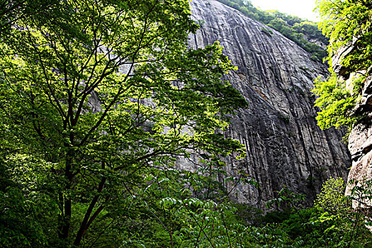 秦岭太白山