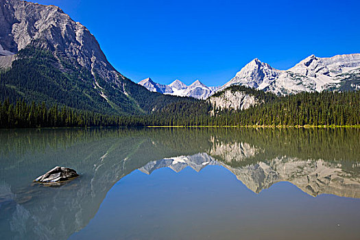 高山湖,麋鹿,湖,省立公园,不列颠哥伦比亚省,加拿大
