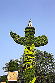 香山卧佛寺植物园花卉望天吼