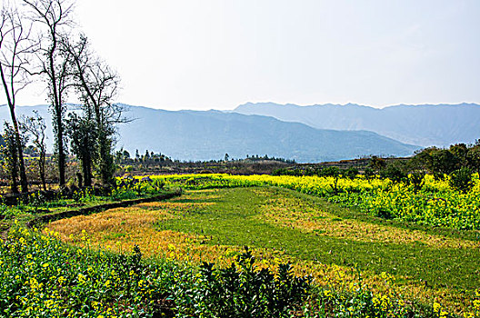 田园春色