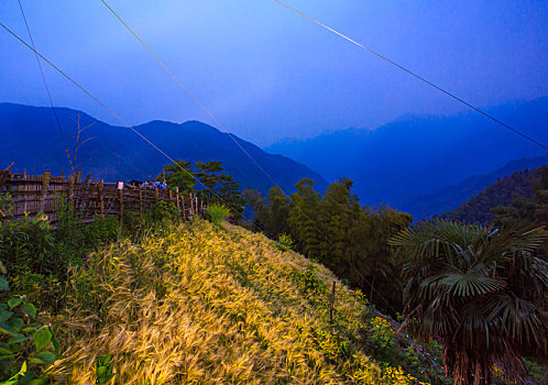 山,树林,雾气,云海,氤氲,绿色,树木,乡村