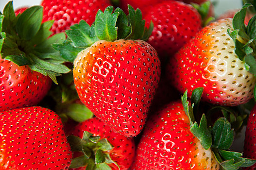 特写新鲜多汁的草莓