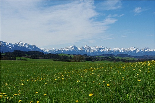 风景,奥地利,德国,阿尔卑斯山,山,靠近