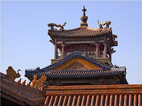 故宫,宫殿,龙,亭子,北京,中国