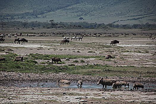 非洲坦桑尼亚风景