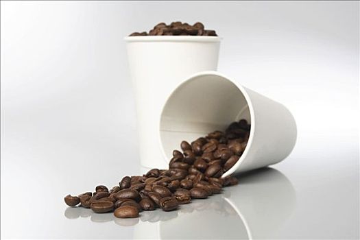 咖啡豆,纸杯