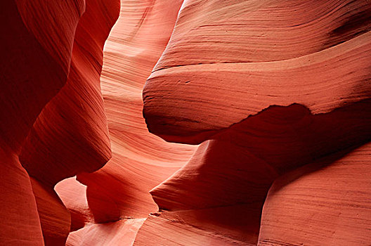 砂岩,悬崖,墙壁,狭缝谷,羚羊谷,靠近,页岩,亚利桑那,美国