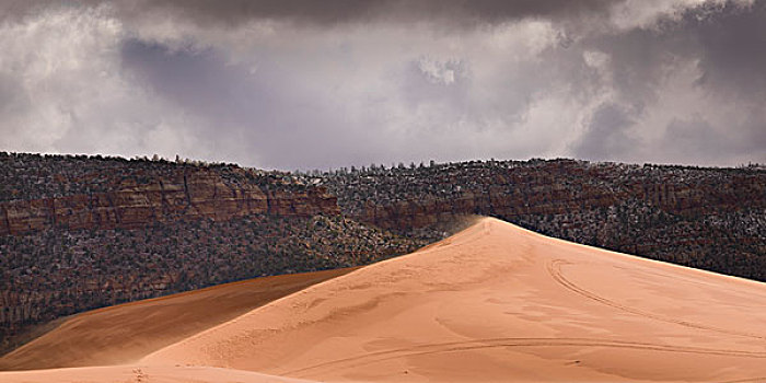 沙丘,干燥地带,犹他,美国