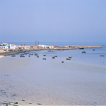 渔港,露天市场,岛屿,突尼斯