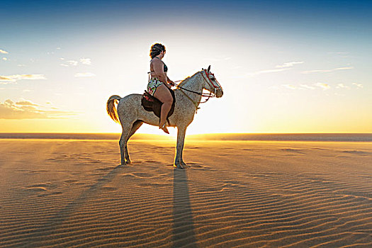 女人,骑,马,海滩,侧面视角,杰里考考拉,巴西,南美