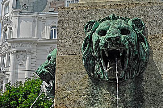 狮子,头部,水,喷泉,维也纳,奥地利,欧洲