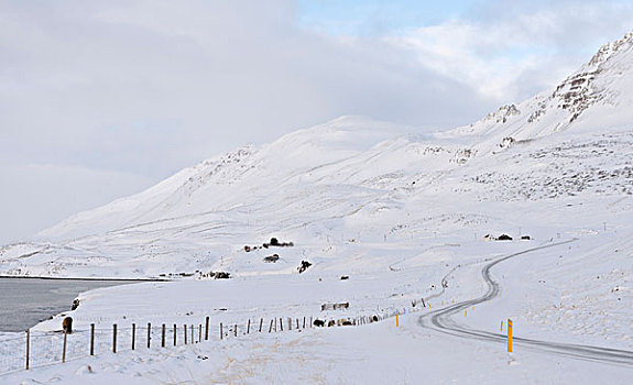 山,区域,冬天,北方,冰岛,大幅,尺寸