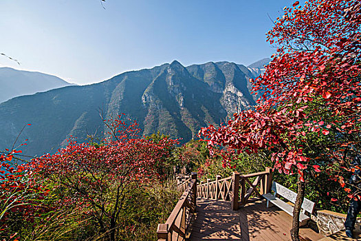 长江三峡巫峡峡谷巫山红叶