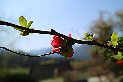 山川河流