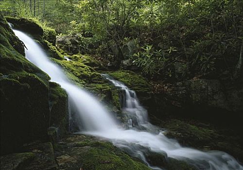 瀑布,树林,响尾蛇,波科诺山,宾夕法尼亚,美国