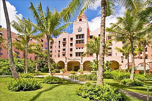 夏威夷,瓦胡岛,皇家,酒店,粉色