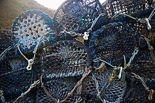 龙虾,网,小湾,威尔士