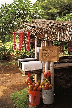 夏威夷,毛伊岛,茅草屋顶,路边,货摊,邮箱,销售,花环,姜,花