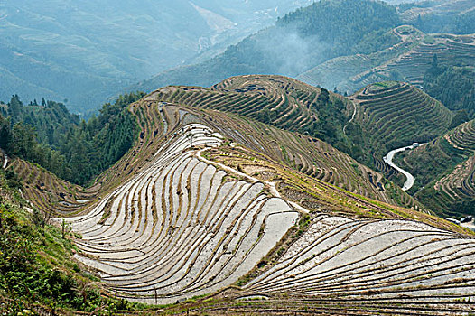 龙胜,稻米梯田,梯田,靠近,桂林,广西壮族自治区,中国,亚洲