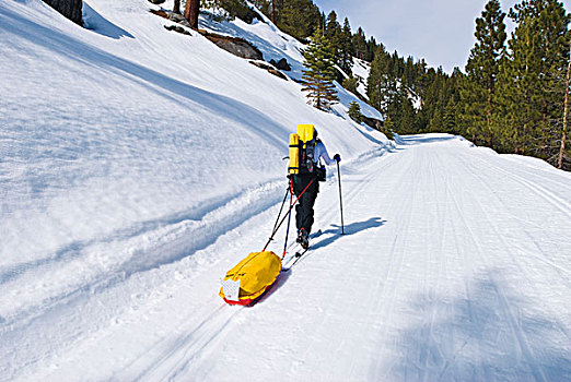 边远地区,滑雪者,雪撬,冰河,道路,优胜美地国家公园,加利福尼亚