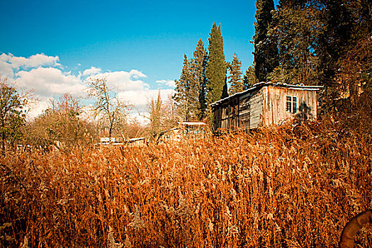 小屋,上方,草,草地,风景,照片