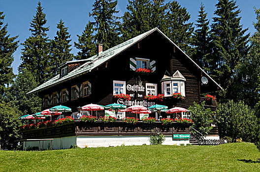 餐馆,山,康士坦茨湖,奥地利,欧洲