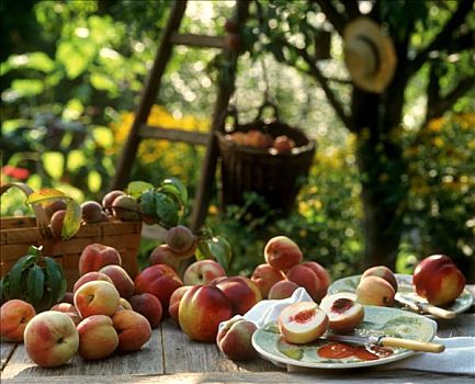 桃,油桃,木桌子,花园
