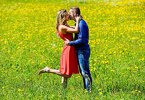 高兴,爱人,吻,花,草地,春天,提洛尔,奥地利,欧洲