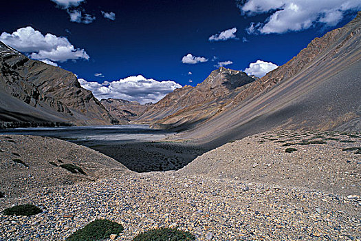 山谷,靠近,喜马偕尔邦,印度,喜马拉雅山,北印度,亚洲