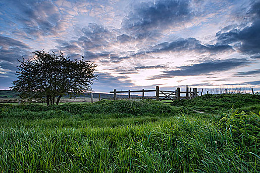 英国,乡村,风景,上方,地点,日落