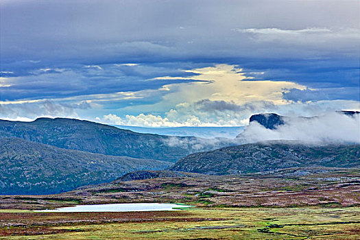 丘陵地貌,国家公园,挪威,斯堪的纳维亚,欧洲