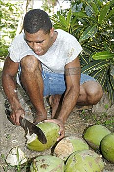 斐济,维提岛,珊瑚海岸,斐济人,男人,切,椰子