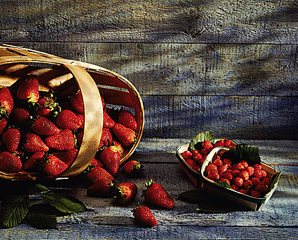 草莓,树莓