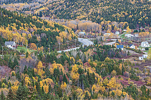 加拿大,魁北克,加斯佩半岛,乡村,风景,秋天