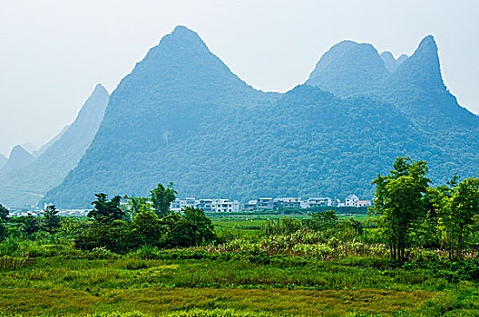 桂林田园风光