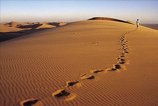脚印,女人,走,沙丘,风景,沙漠,纳米比亚,非洲