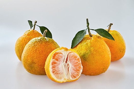 白色背景下的丑橘