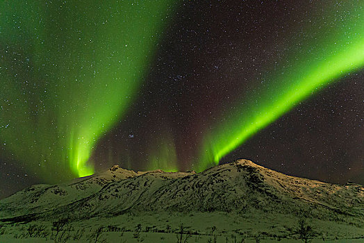 北极光,上方,积雪,山,靠近,特罗姆瑟,挪威,欧洲