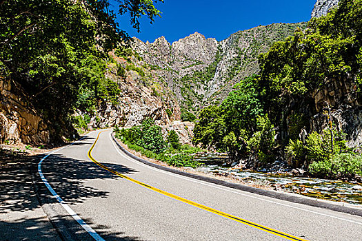 公路,国王峡谷,国家公园,加利福尼亚,美国