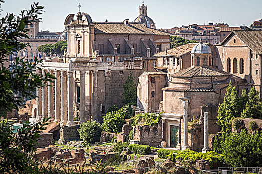 庙宇,古罗马广场,罗马,拉齐奥,意大利,欧洲