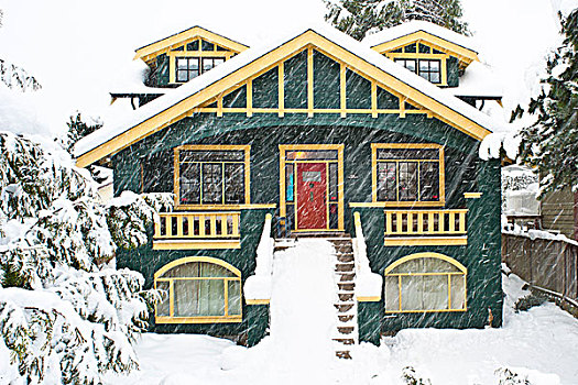 房子,暴风雪,北温哥华,不列颠哥伦比亚省,加拿大