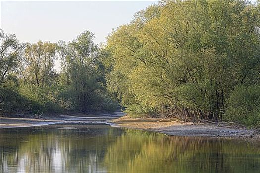 多瑙河,死水,下巴伐利亚,德国