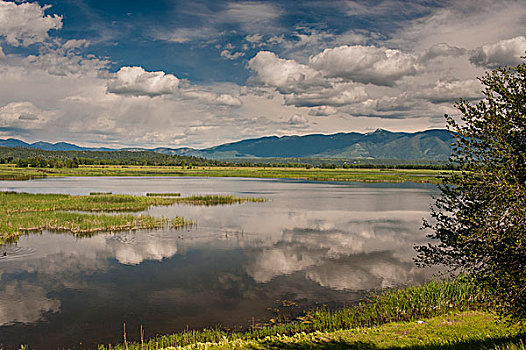 湿地,云,国家野生动植物保护区,靠近,渡轮,爱达荷