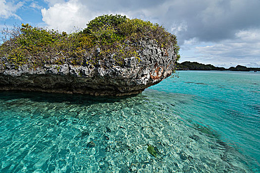 斐济,南方,多,岛屿,景色,泻湖,室内,火山,火山口,蘑菇,小岛,珊瑚,石灰石,形状,吃剩下,小,有机生物,动作
