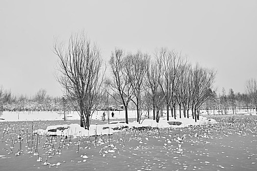 雪景