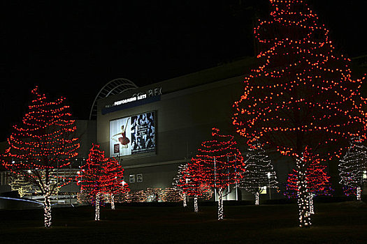 树,装饰,圣诞灯光,正面,建筑,丹佛,表演艺术,复杂,科罗拉多,美国